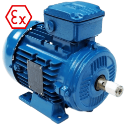 exproof_motor (1)