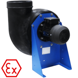 xxxx5 (2)